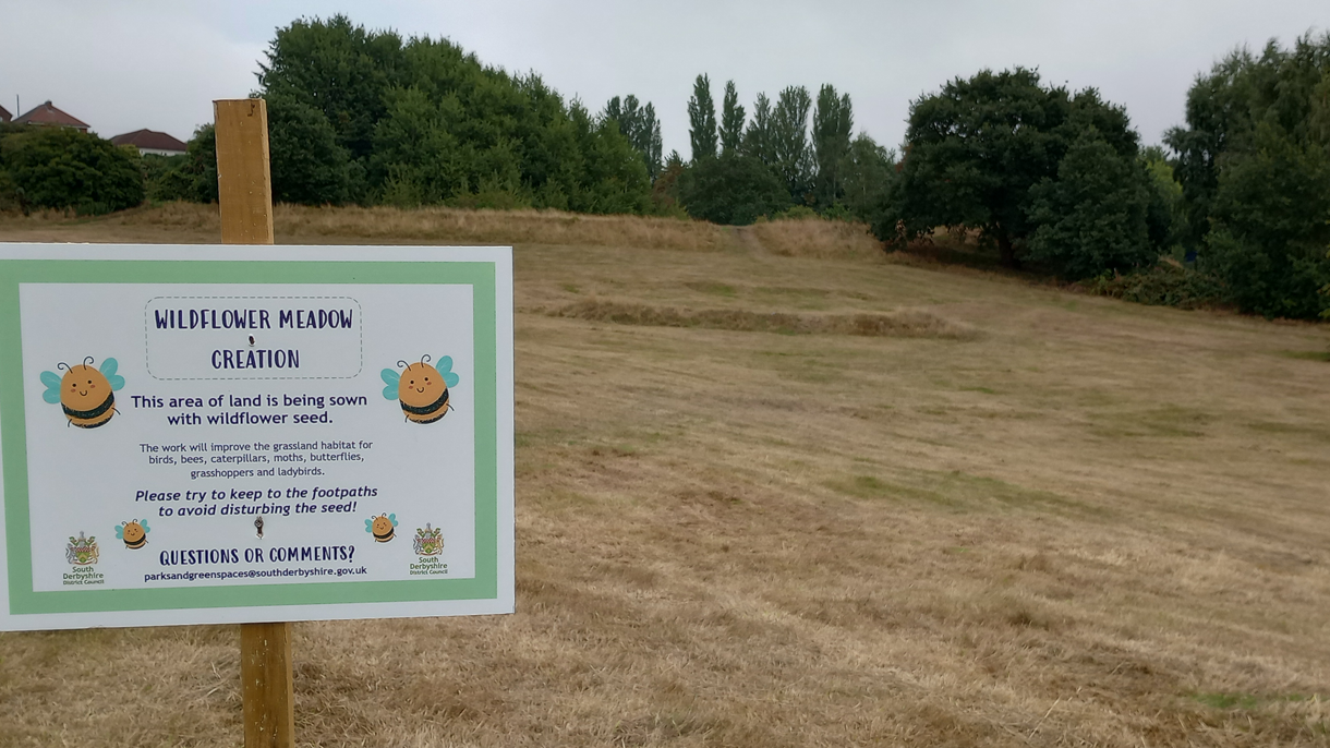 Wildflower meadow works South Derbyshire District Council